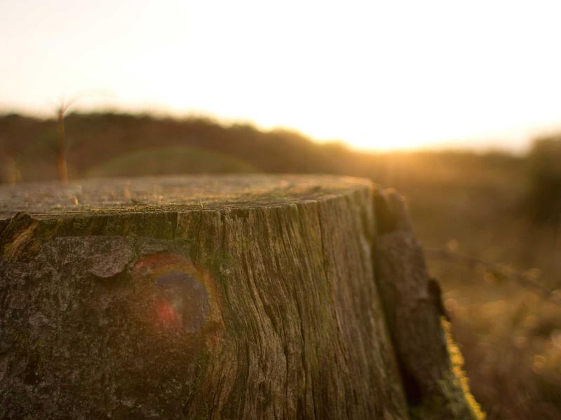 sudoku elimination method screenshot 6